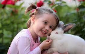 noor khan